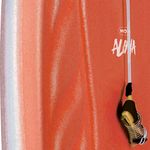 Prancha-Bodyboard-57cm-x-35cm