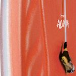Prancha-Bodyboard-90cm-x-47cm