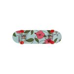Skate-Iniciante-79cm-x-20cm-Sortido