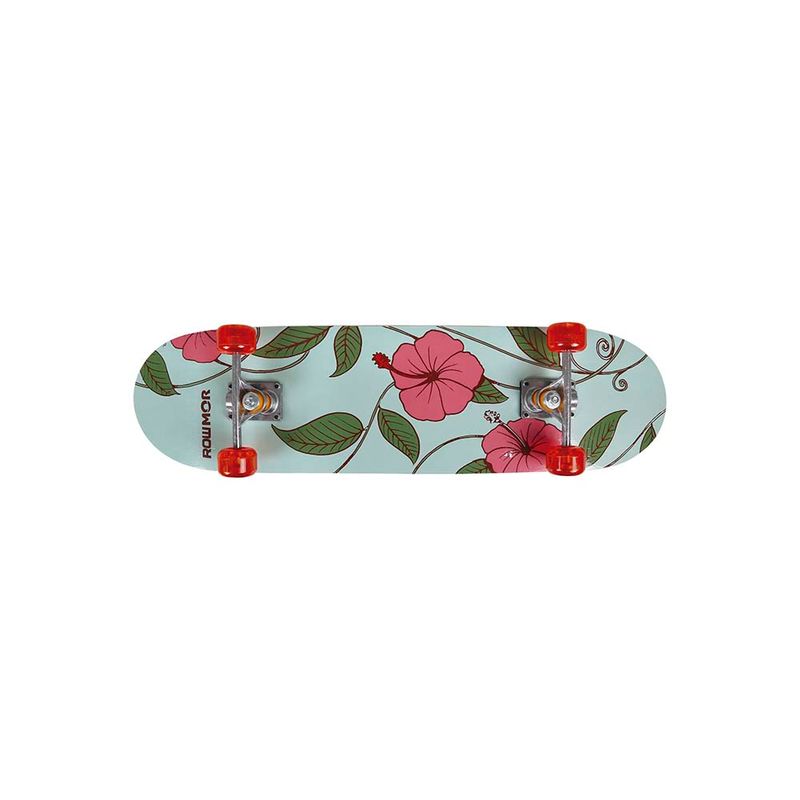 Skate-Iniciante-79cm-x-20cm-Sortido