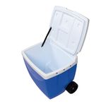 detalhe25108221-Caixa-Termica-42-litros-Azul-9