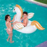 001981-Boia-Pegasus-Medio-Amb