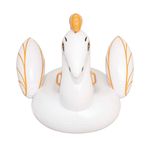 001982-Boia-Pegasus-Grande-5