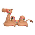 001983-Boia-Camelo-2