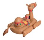 001983-Boia-Camelo-3