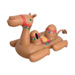 001983-Boia-Camelo-4