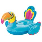 001993-Boia-Tucano-1