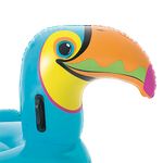 001993-Boia-Tucano-Det-1