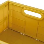 30061005-Caixa-Dobravel-P-Mostarda-Det-2