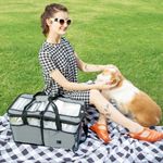 003623-Ice-Cooler-48L-Amb-2