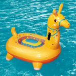 001996-Boia-Lhama-Amb-1