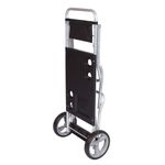 002596-Carrinho-De-Praia-Com-Avanco-Preto-3.jpg