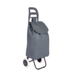 002498-Carrinho-Compras-Leva-Tudo-Bag-To-Go-Sort-Cinza-1