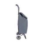 002498-Carrinho-Compras-Leva-Tudo-Bag-To-Go-Sort-Cinza-3