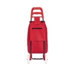 002498-Carrinho-Compras-Leva-Tudo-Bag-To-Go-Sort-Vermelho-4
