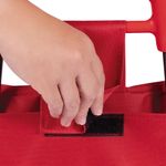 002498-Carrinho-Compras-Leva-Tudo-Bag-To-Go-Sort-Vermelho-Det-6