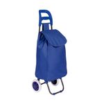 002498-Carrinho-Compras-Leva-Tudo-Bag-To-Go-Sort-Azul-1