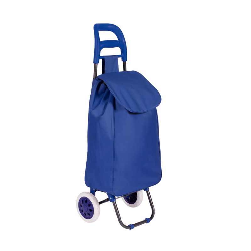 002498-Carrinho-Compras-Leva-Tudo-Bag-To-Go-Sort-Azul-1