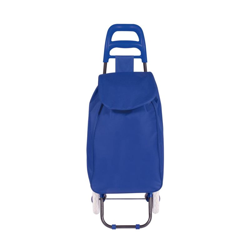 002498-Carrinho-Compras-Leva-Tudo-Bag-To-Go-Sort-Azul-2