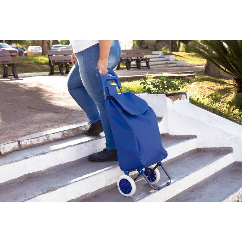 002498-Carrinho-Compras-Leva-Tudo-Bag-To-Go-Sort-Azul-Amb-1