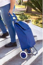 002498-Carrinho-Compras-Leva-Tudo-Bag-To-Go-Sort-Azul-Amb-2