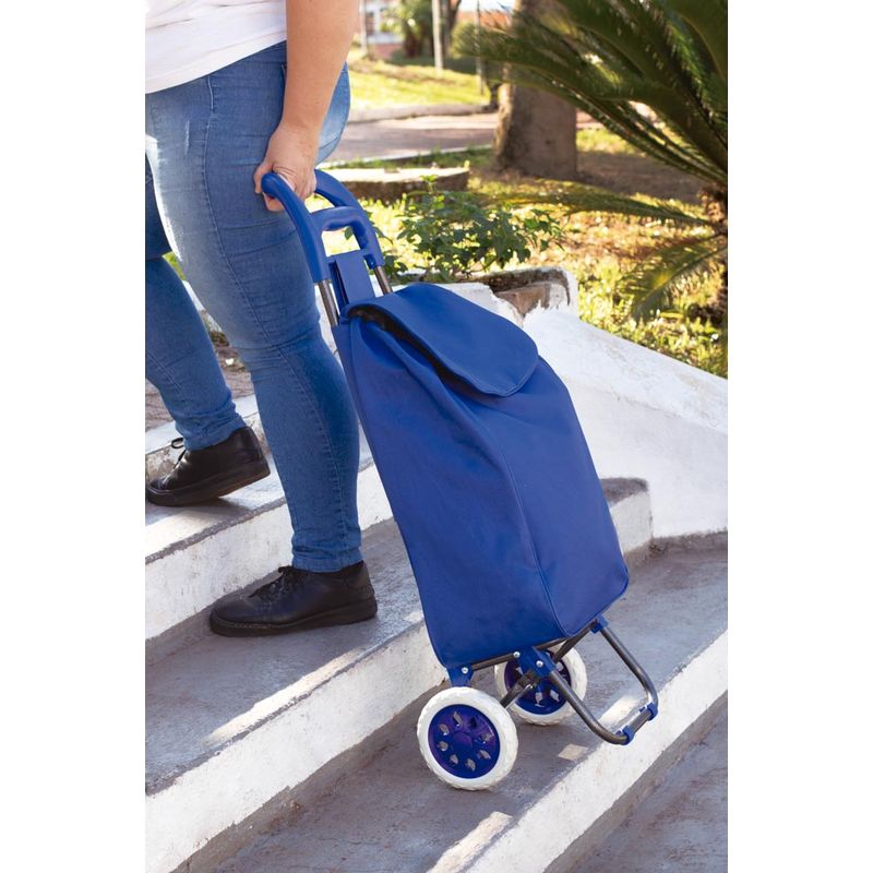002498-Carrinho-Compras-Leva-Tudo-Bag-To-Go-Sort-Azul-Amb-2