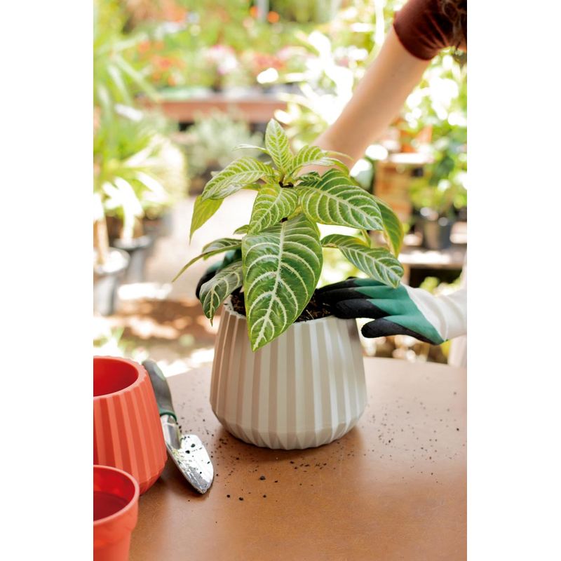 50005011-Vaso-Cachepot-Wave-19cm-Branco-Antigo-Amb-13