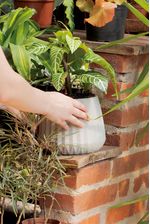50005011-Vaso-Cachepot-Wave-19cm-Branco-Antigo-Amb-16