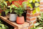 50005011-Vaso-Cachepot-Wave-19cm-Branco-Antigo-Amb-21