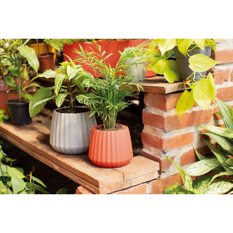 50005011-Vaso-Cachepot-Wave-19cm-Branco-Antigo-Amb-21