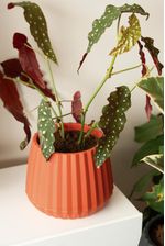 50005020-Vaso-Cachepot-Wave-25cm-Argila-Amb-2