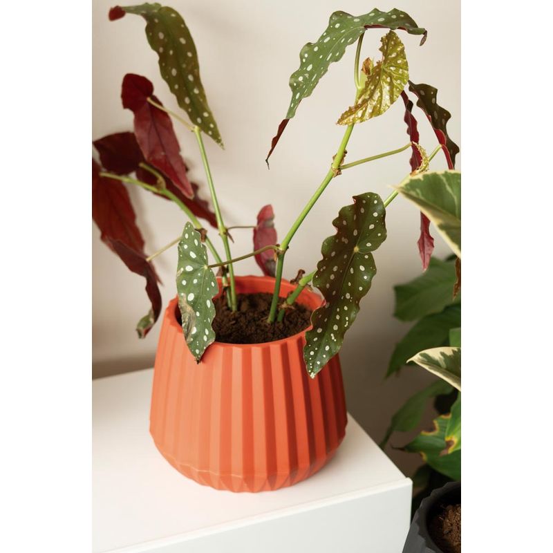 50005020-Vaso-Cachepot-Wave-25cm-Argila-Amb-2