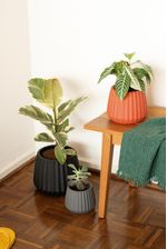 50005020-Vaso-Cachepot-Wave-25cm-Argila-Amb-1