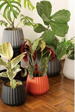 50005023-Vaso-Cachepot-Wave-25cm-Preto-Amb-2