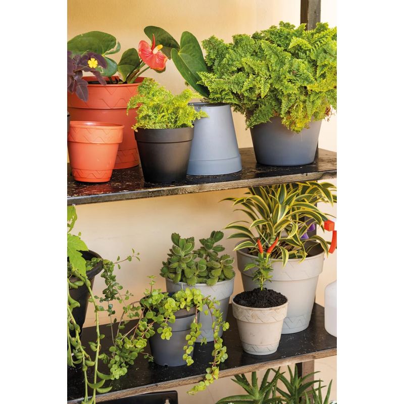 50005050-Vaso-2-Em-1-10cm-Argila-Amb-2