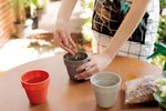 50005050-Vaso-2-Em-1-10cm-Argila-Amb-7