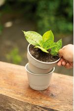 50005051-Vaso-2-Em-1-10cm-Branco-Antigo-Amb-1