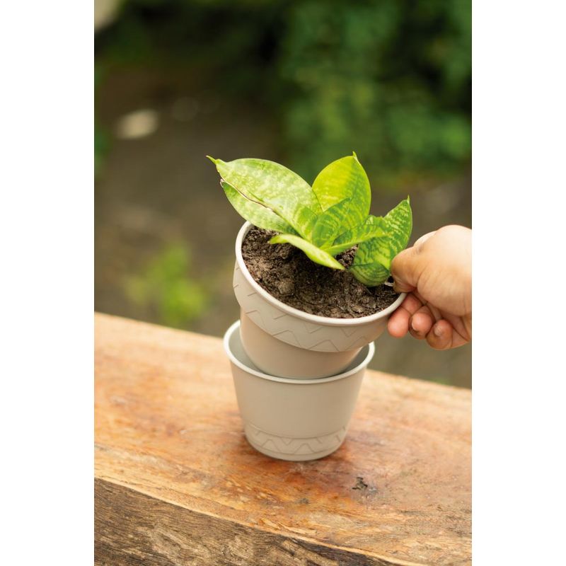 50005051-Vaso-2-Em-1-10cm-Branco-Antigo-Amb-1