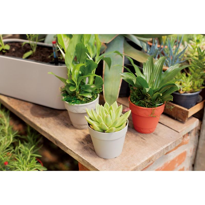 50005051-Vaso-2-Em-1-10cm-Branco-Antigo-Amb-11