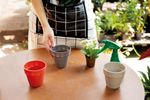 50005052-Vaso-2-Em-1-10cm-Cinza-Amb-1