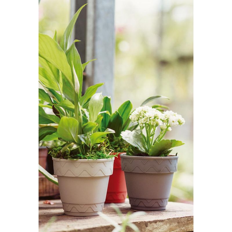 50005052-Vaso-2-Em-1-10cm-Cinza-Amb-22