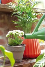 50005052-Vaso-2-Em-1-10cm-Cinza-Amb-23