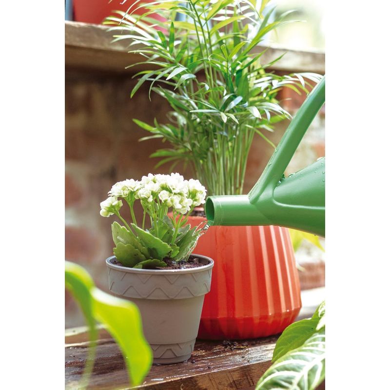 50005052-Vaso-2-Em-1-10cm-Cinza-Amb-23
