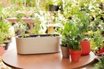 50005061-Vaso-2-Em-1-13cm-Branco-Antigo-Amb-1