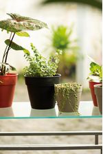 50005070-Vaso-2-Em-1-17cm-Argila-Amb-2