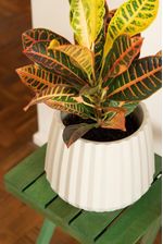 50005041-Vaso-Cachepot-Wave-37cm-Branco-Antigo-Amb-1