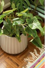 50005041-Vaso-Cachepot-Wave-37cm-Branco-Antigo-Amb-3