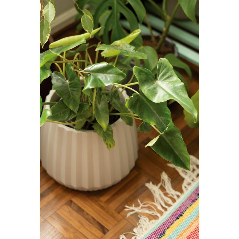50005041-Vaso-Cachepot-Wave-37cm-Branco-Antigo-Amb-3