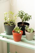 50005102-Vaso-15cm-Cinza-Amb-1