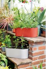 50005110-Vaso-Jardineira-42cm-Argila-Amb-1